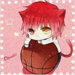 熊猫爱好者